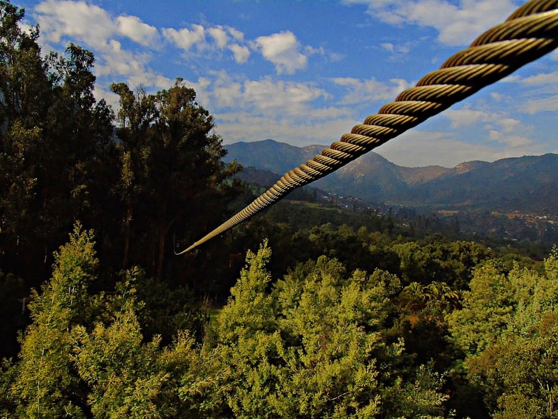 Zip Lining Image